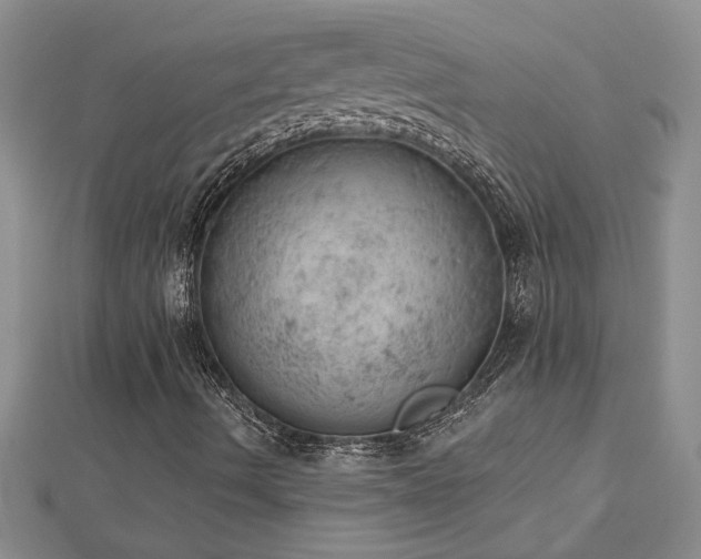 X0000112781490200908201518