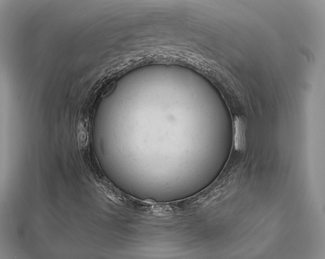 X0000112781491200908201518
