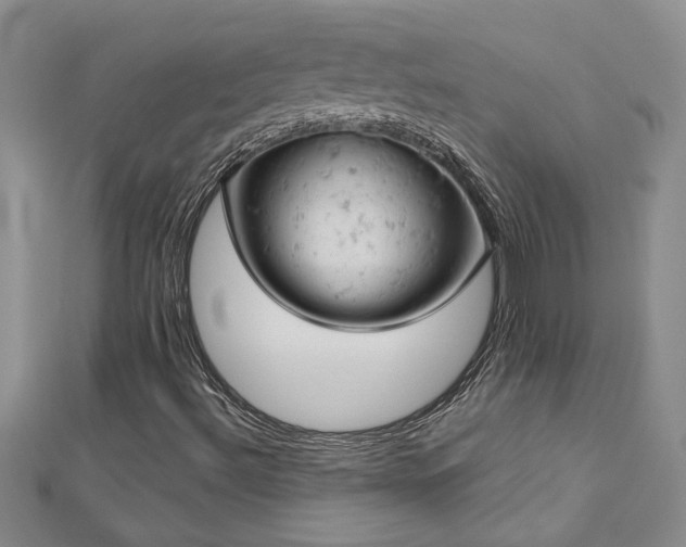 X0000112781492200908201518