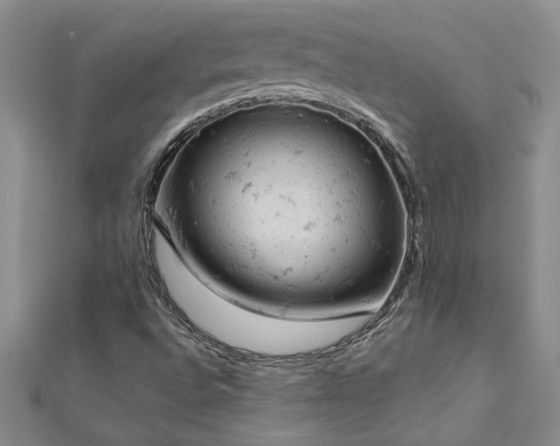 X0000112781496200908201518