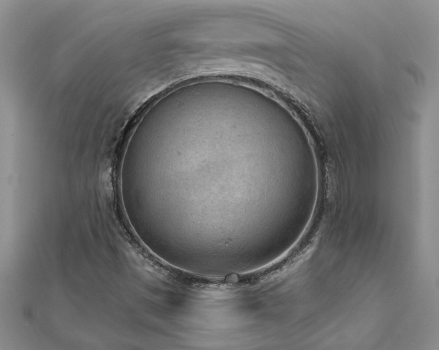 X0000112781497200908201518
