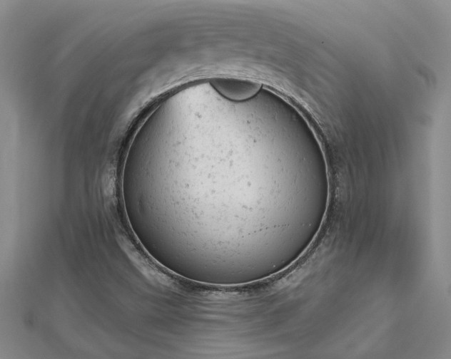 X0000112781499200908201518
