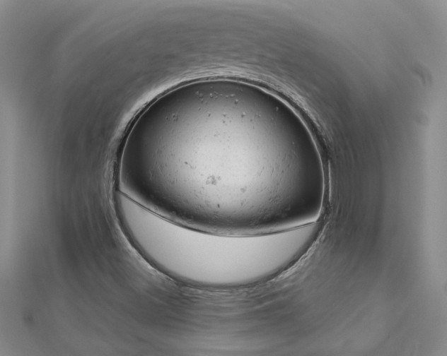 X0000112781500200908201518