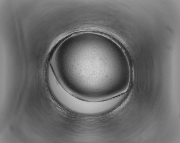 X0000112781501200908201518