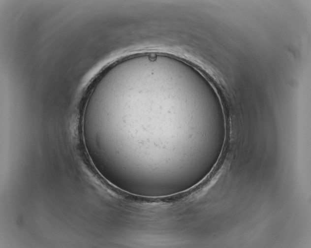X0000112781502200908201518