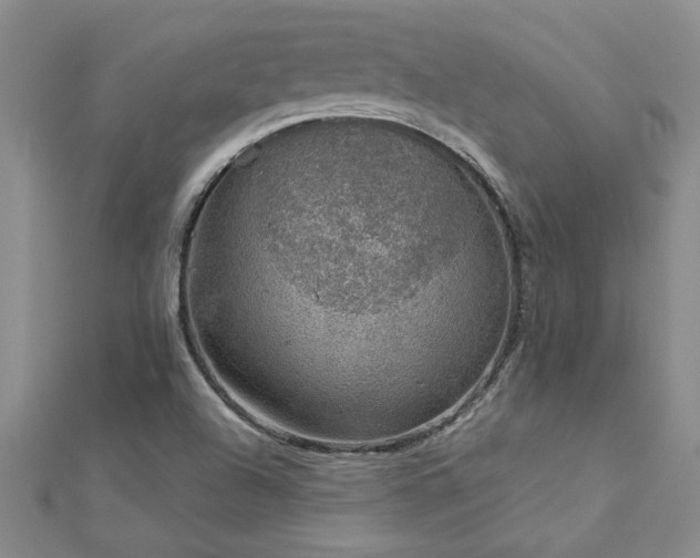 X0000112781504200908201518