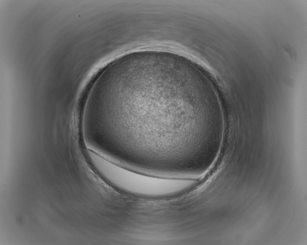 X0000112781506200908201518