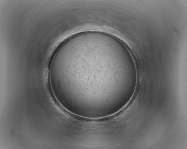 X0000112781507200908201518