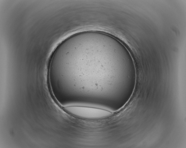 X0000112781508200908201518