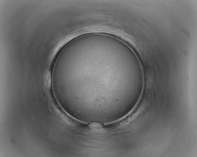 X0000112781509200908201518