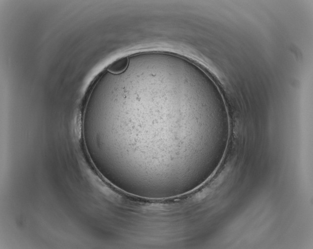 X0000112781510200908201518