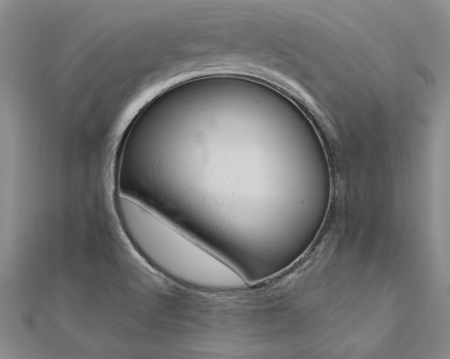 X0000112781512200908201518