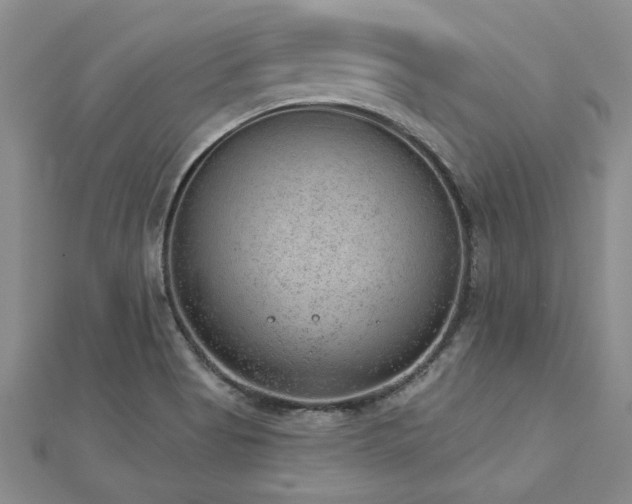 X0000112781513200908201518