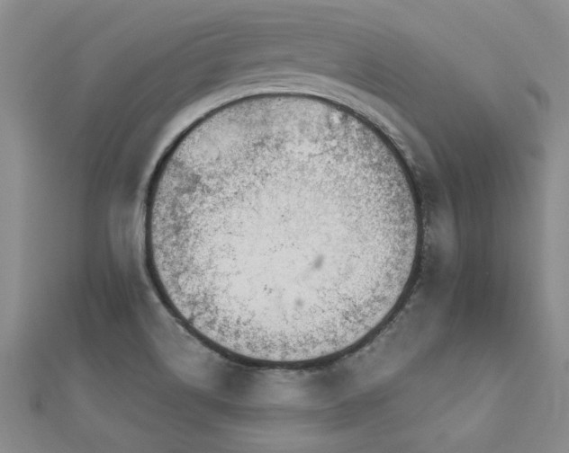 X0000112781514200908201518