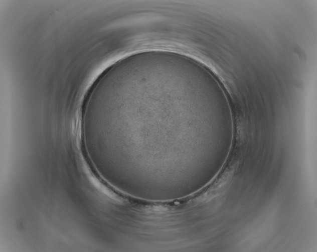X0000112781515200908201518