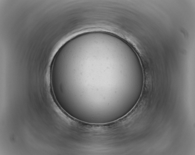 X0000112781516200908201518