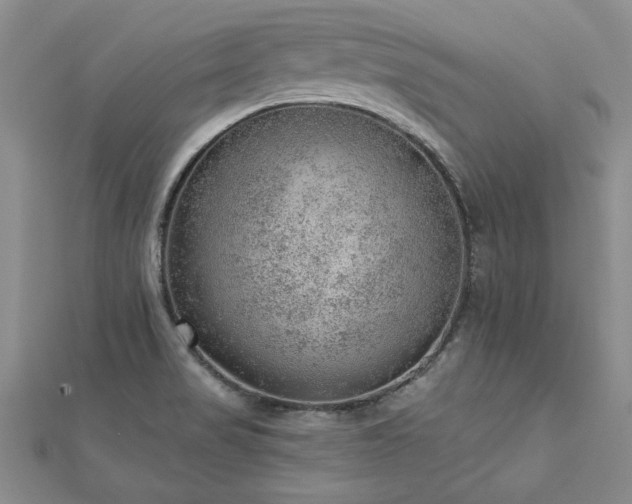X0000112781517200908201518