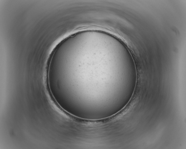 X0000112781518200908201518