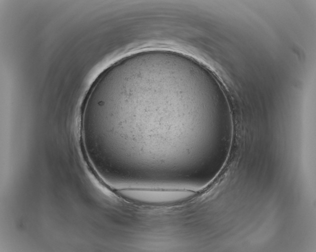 X0000112781519200908201518