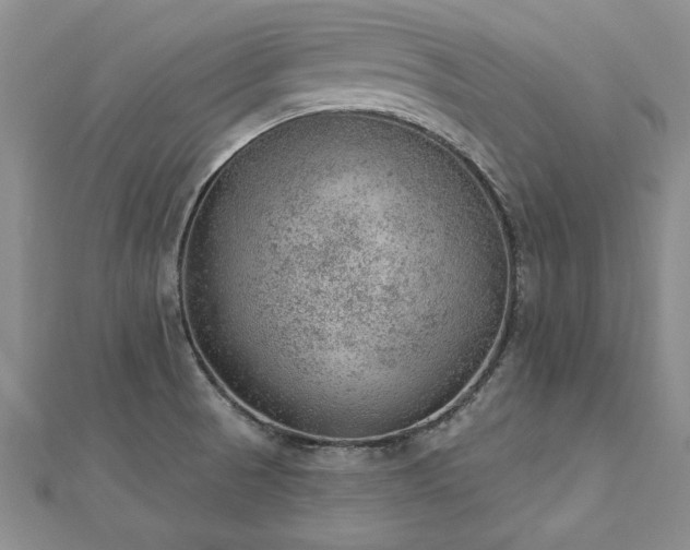 X0000112781521200908201518