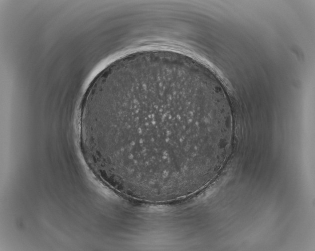 X0000112781522200908201518