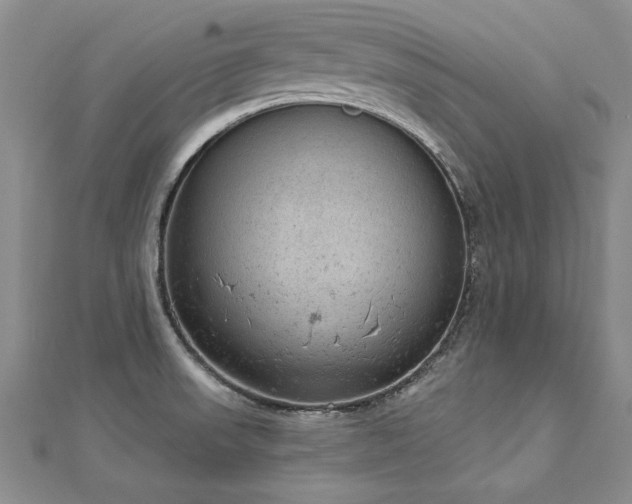 X0000112781523200908201518
