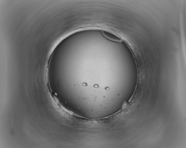 X0000112781524200908201518