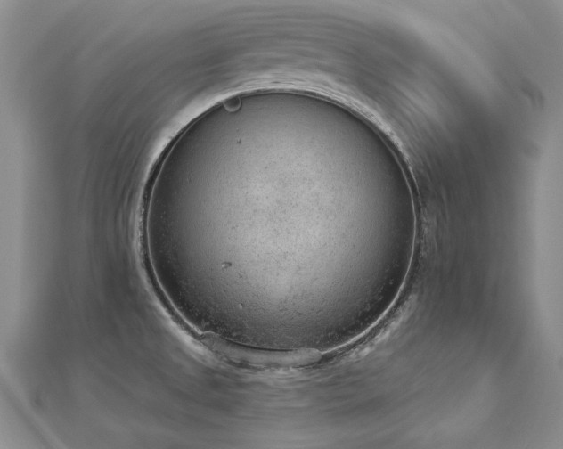 X0000112781525200908201518