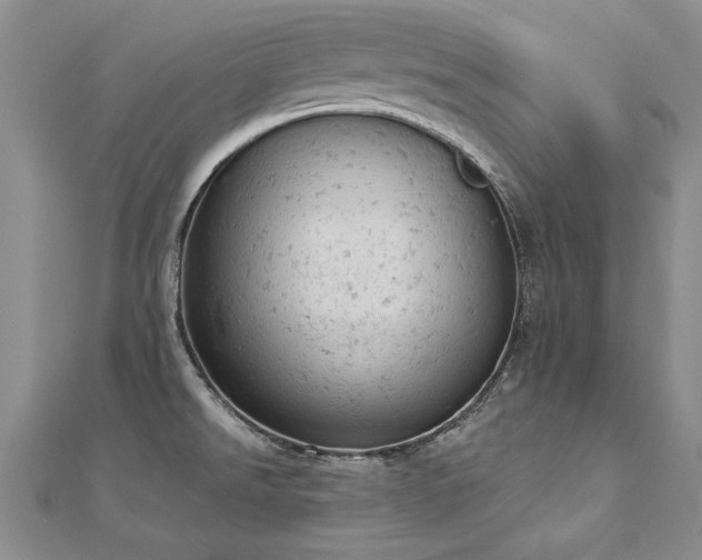X0000112781526200908201518