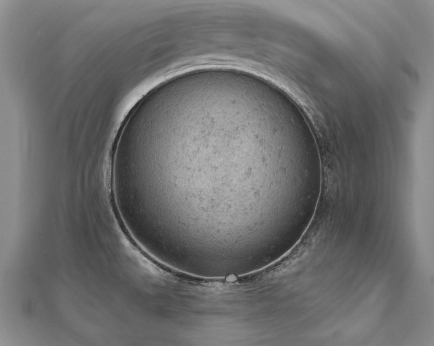 X0000112781527200908201518