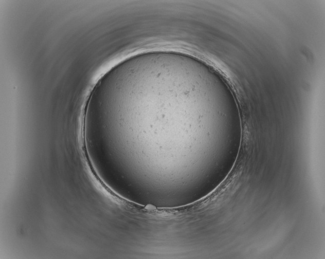 X0000112781528200908201518