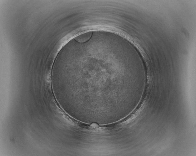 X0000112781529200908201518