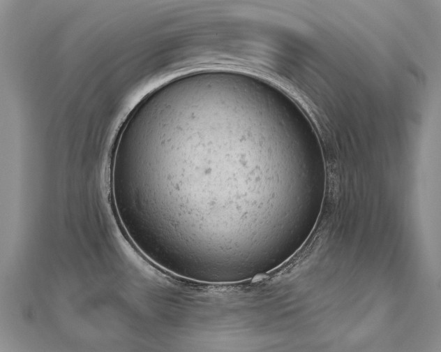 X0000112781531200908201518