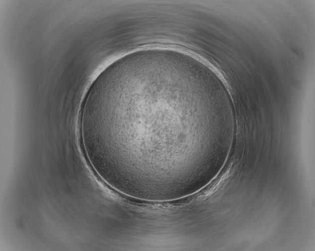 X0000112781533200908201518