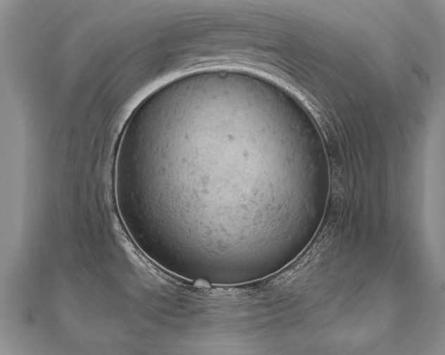 X0000112781534200908201518