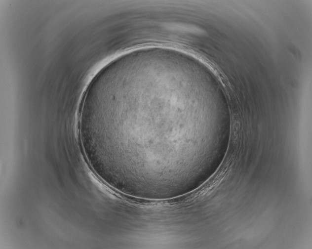 X0000112781535200908201518