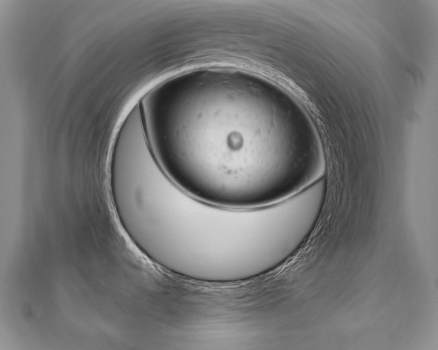 X0000112781536200908201518