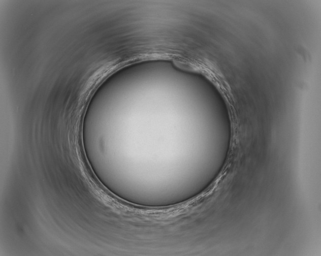 X0000112780001200908271713