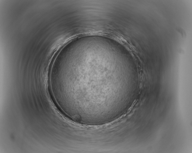 X0000112780002200908271713