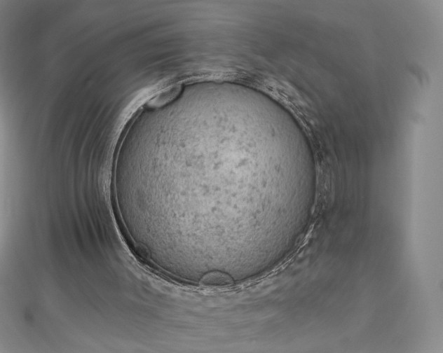 X0000112780003200908271713