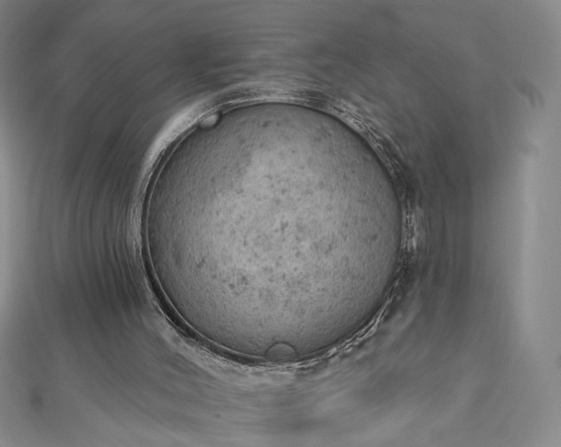 X0000112780004200908271713