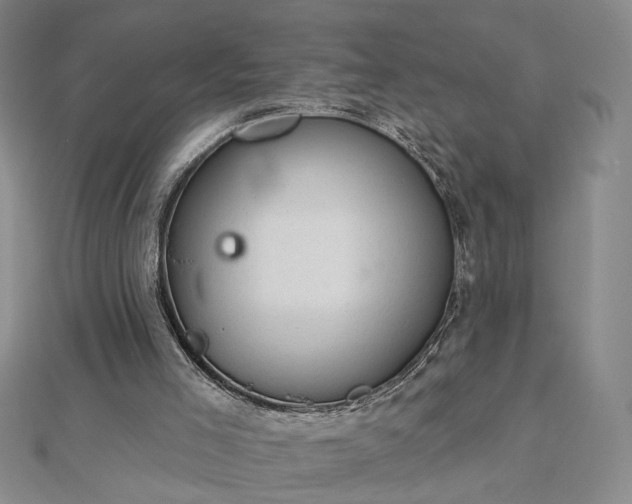 X0000112780005200908271713