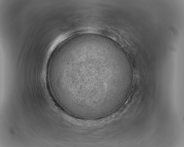 X0000112780006200908271713