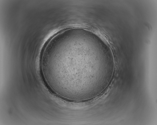 X0000112780008200908271713