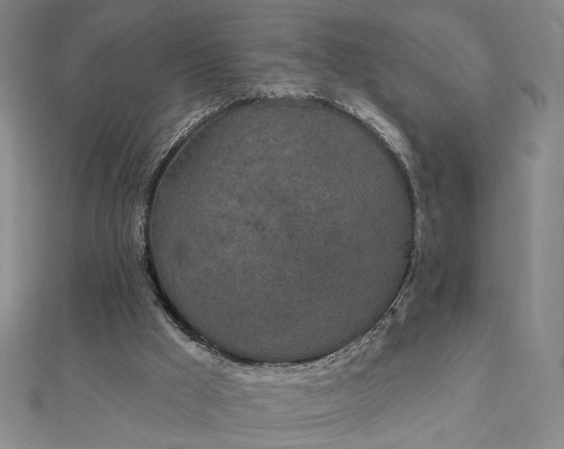 X0000112780009200908271713