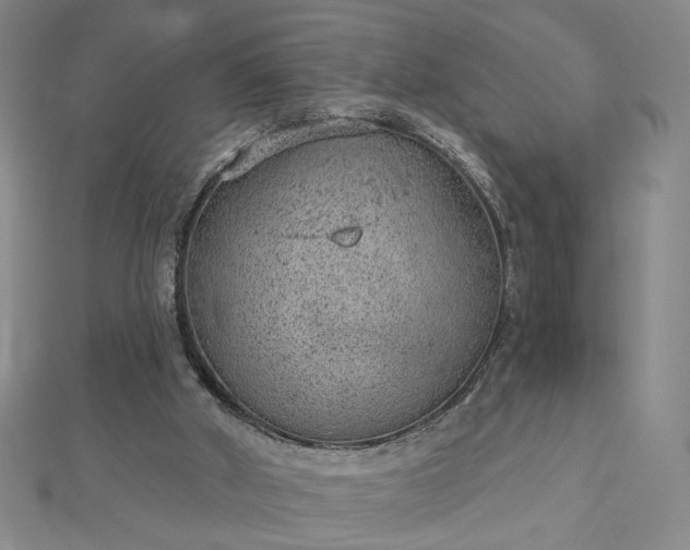 X0000112780010200908271713