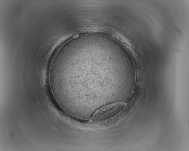 X0000112780012200908271713