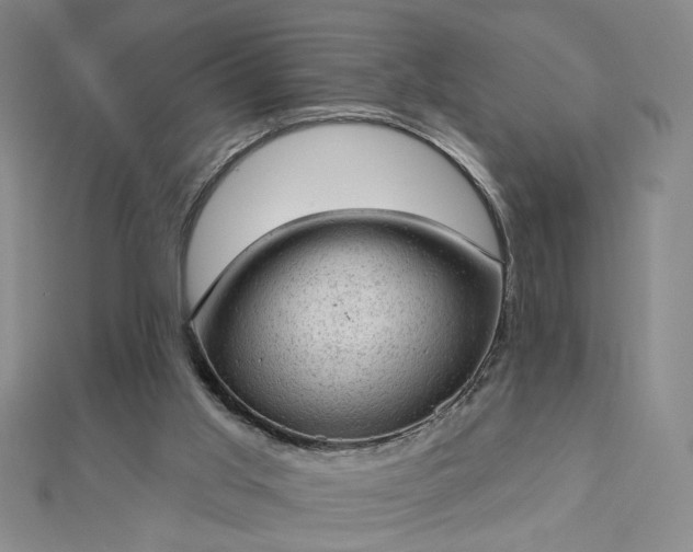 X0000112780013200908271713