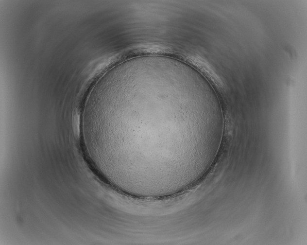 X0000112780014200908271713