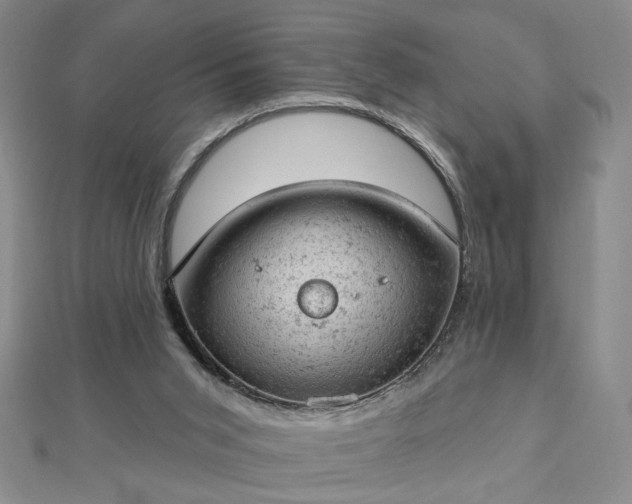 X0000112780015200908271713